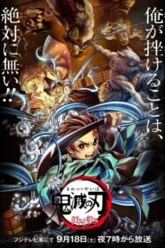 Demon Slayer Kimetsu no Yaiba S01